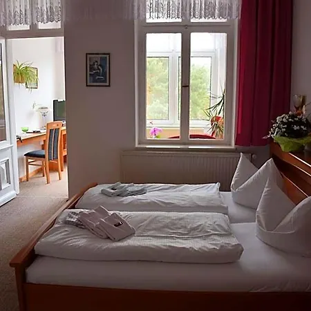 Nordlicht * زينوويتز